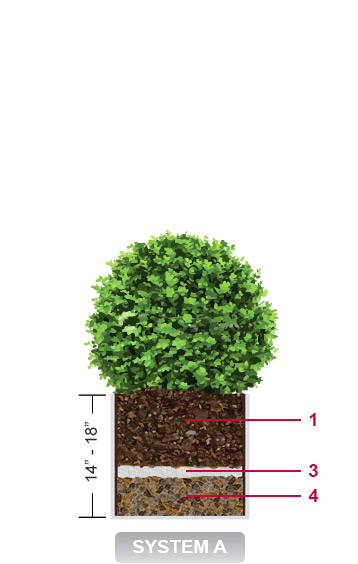 Planter System Design - Perennials, Ornamental Grasses, Small Growing Shrubs and Evergreens