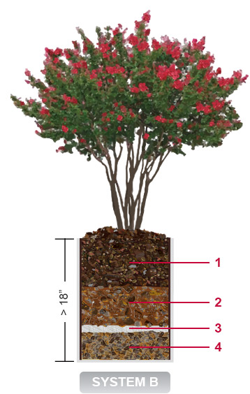 Deep Planter System Design
