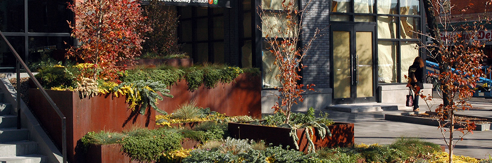 Expert Planter Performance System
