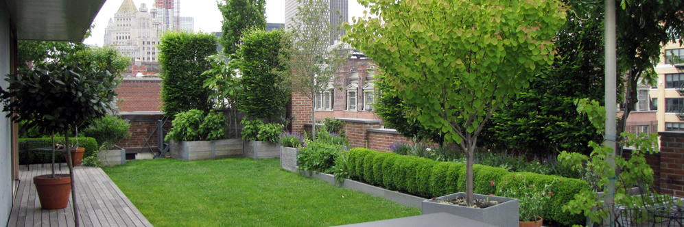 Expert Planter Performance System