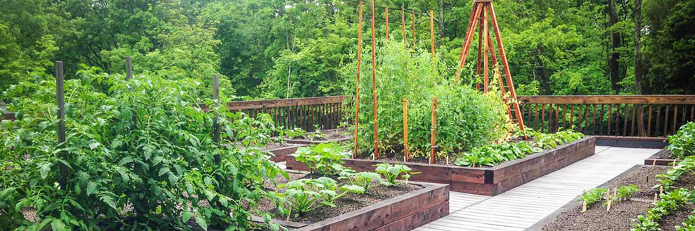 Expert Planter Performance System