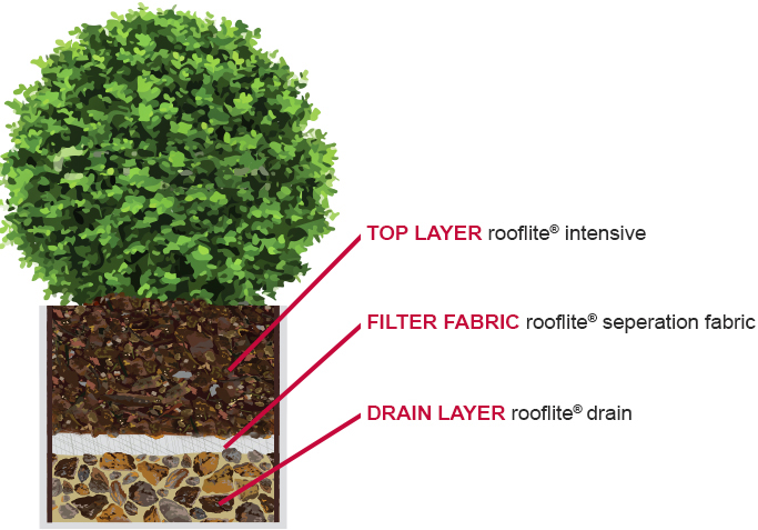 Planter System Design - Perennials, Ornamental Grasses, Small Growing Shrubs and Evergreens