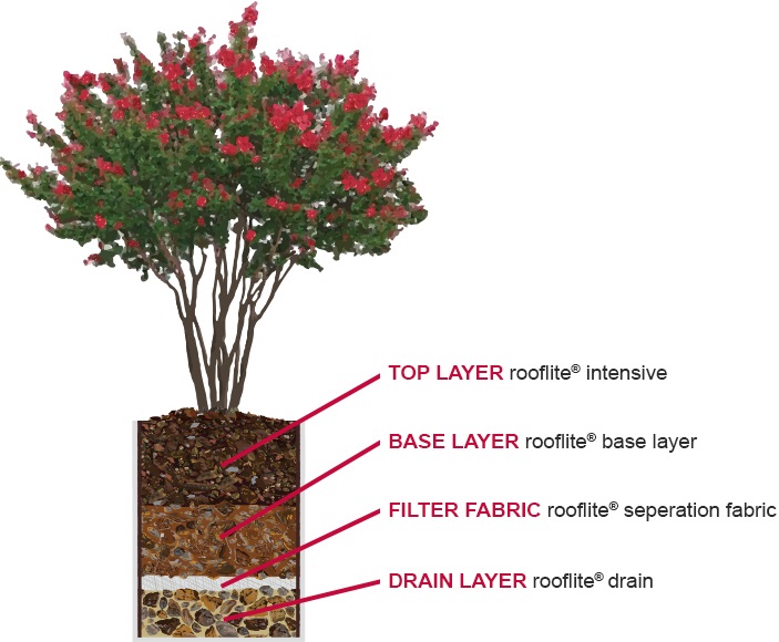 Deep Planter System Design