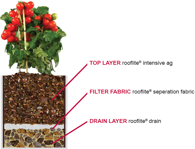 Agriculture Planter Design