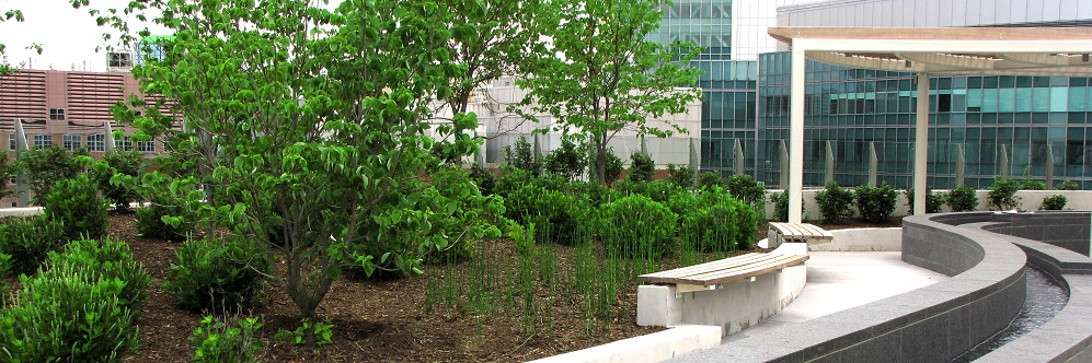 Expert Planter Performance System