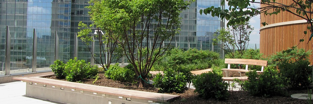 Expert Planter Performance System